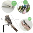 thumbnail image 3 of Ksopiavobs 2pcs Gray Artificial Feathered Birds 6inch Clip on Sparrow Bird Ornaments for Christmas Tree Decoration Wreath Craft Garden Home Decor Party Accessories, 3 of 6