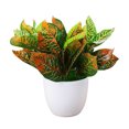 thumbnail image 1 of CreativeArrowy 10in Fake Plants Small Potted Faux Plant Realistic Decorative Plants Artificial Plants for Indoor Decor Home Office Desk Bathroom Bedroom Aesthetic Decoration, 1 of 9