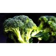 thumbnail image 2 of Chl-Brocoli Graines de Vitamines pour Plantation Environ 100 Graines, 2 of 4