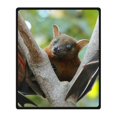 thumbnail image 1 of RYLABLUE Bat Blanket Fleece Throw Blanket for Sofa or Bed 58x80 inches, 1 of 3
