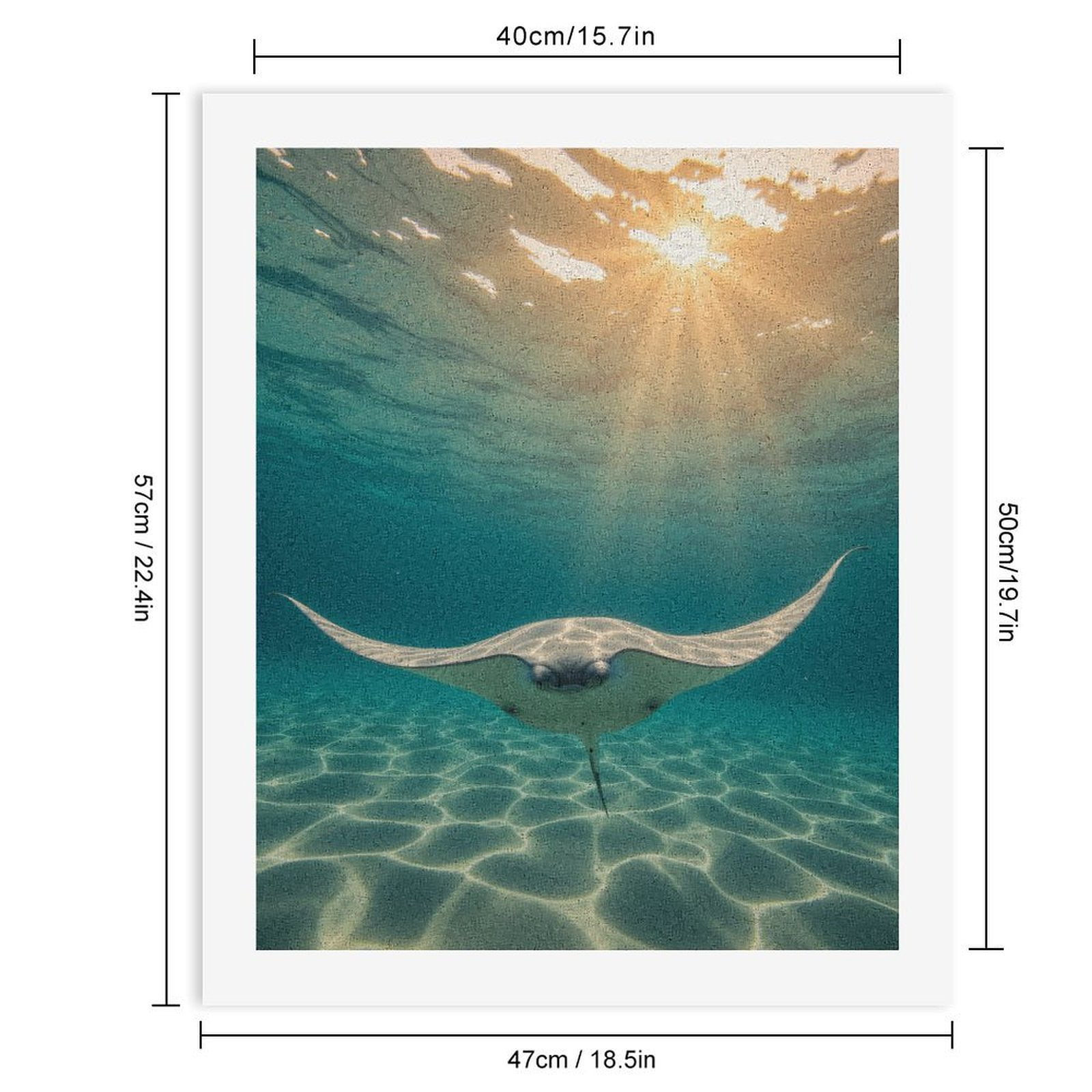 Paint by Numbers Kit for Adults, Sunlit Ocean Rays Manta Swimming Paint by Numbers, Easy Paint by Numbers Kit for Adults Beginner, DIY Adult Paint by Number Kits on Canvas, Home Decor