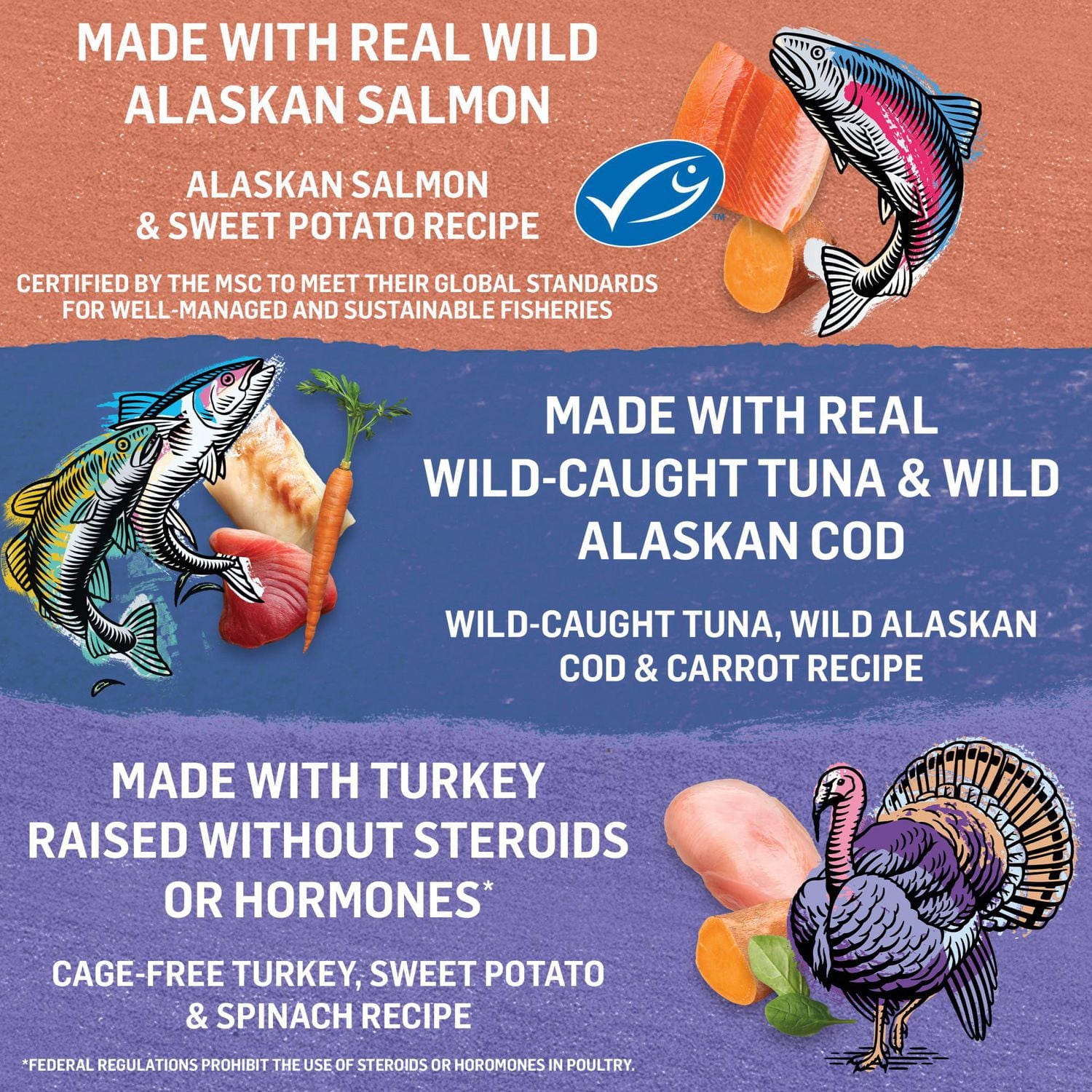 Beyond in Gravy Variety Pack Turkey, Salmon, Tuna, Cod, Wet Cat Food 12 x 85 g
