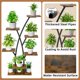 thumbnail image 5 of EVAWOO Soporte para Plantas con Luces de Cultivo - Estantería de Esquina de 7 Niveles para Múltiples Plantas, Estantes Metálicos de 42", Exhibidor de Flores para Interiores, Hogar, Patio y Balcón, 5 of 7