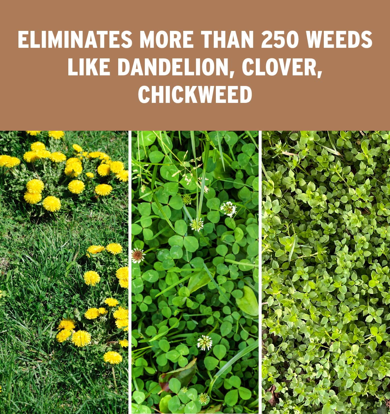 The Andersons Professional Surge Weed and Feed 16-0-9 Post-Emergent Weed Control and Fertilizer - Covers up to 20,000 sq ft (40 lb)