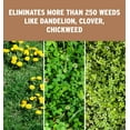 thumbnail image 5 of The Andersons Professional Surge Weed and Feed 16-0-9 Post-Emergent Weed Control and Fertilizer - Covers up to 20,000 sq ft (40 lb), 5 of 9