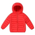 thumbnail image 3 of Toddler Boy Winter Coat Boys Puffer Coat with Pocket Zip up Hooded Coat Solid Long Sleeve Windproof Outerwear Coats Girls Winter Clothes Size 11-12Years, 3 of 3