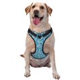 thumbnail image 1 of Balery Beautiful Floral Arnés para Perros Grandes Antitirones, Arnés con Correa para Gato, Arnés Tipo Chaleco para Perros Pequeños-Small, 1 of 6