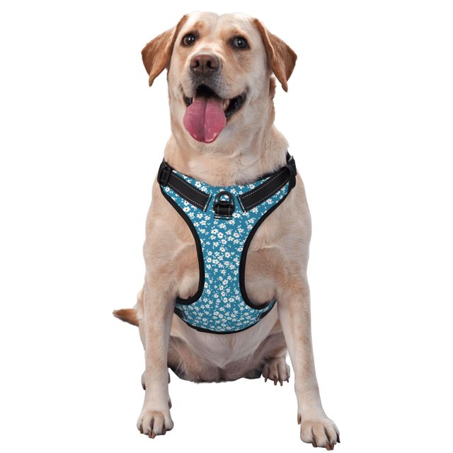 Balery Beautiful Floral Arnés para Perros Grandes Antitirones, Arnés con Correa para Gato, Arnés Tipo Chaleco para Perros Pequeños-Small
