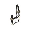 thumbnail image 2 of Gatsby Premium Nylon Halter with Padded Leather Overlay, 2 of 3