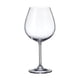 thumbnail image 1 of Copa Colibri de Vidrio 650 ml 6 Piezas, 1 of 3