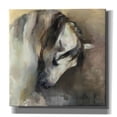 thumbnail image 1 of Epic Graffiti 'Classical Horse' by Marilyn Hageman, Canvas Wall Art, 26"x26", 1 of 3