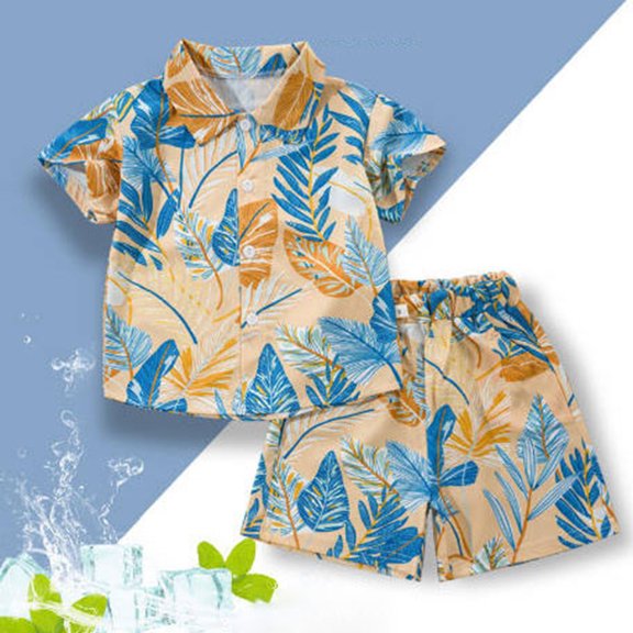 JCCXIN Boys Hawaii Outfit Sets 2Pcs Set Summer Flower Printed Beach Button Down Short Sleeve Lapel Shirt Tops Shorts Kids Cozy Clothes Sets