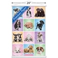 thumbnail image 3 of Keith Kimberlin - Puppies - Cuties Grid, 3 of 5