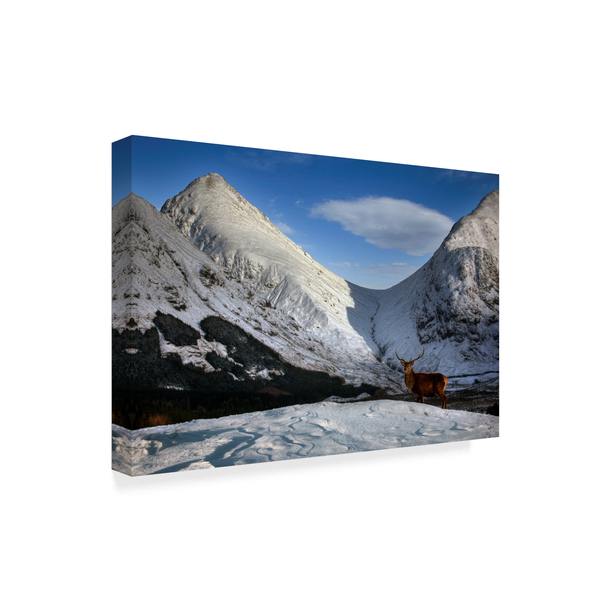 Trademark Fine Art 'Scotland 5' Canvas Art by Maciej Duczynski