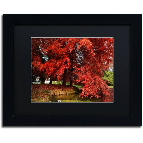 Trademark Fine Art "October" Canvas Art by Philippe Sainte-Laudy Black Matte, Black Frame