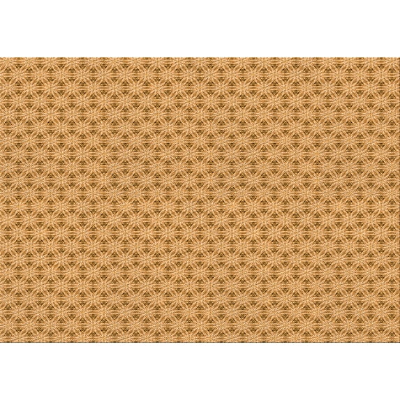 Ahgly Company Indoor Rectangle Patterned Cantaloupe Orange Area Rugs, 6' x 9'