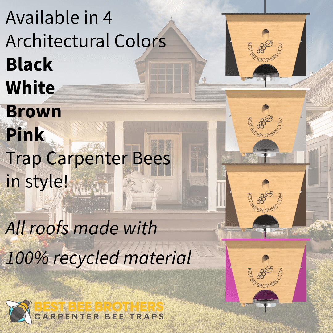 Best Bee Brothers Carpenter Bee Turbo Trap 2.0 with Bee Vault and Designer Black Roof, 1 Count