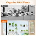 thumbnail image 6 of Lifewit Window Plant Floating Shelves 15 inch, 2 Pack, Acrylic Suction Cup Shelf, Window Sill Extender for Indoor Succulent Plants, Micro Greens, Seed Starter Pots, Herb Planters, 6 of 8