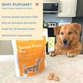 thumbnail image 4 of Pupums Healthy Sweet Potato Dog Treats | All Natural Dog Biscuits with 100% Human Grade and Non-GMO Ingredients | Made in The USA | Handcrafted | Made For All Dog Sizes and Ages | Various Flavors, 4 of 6