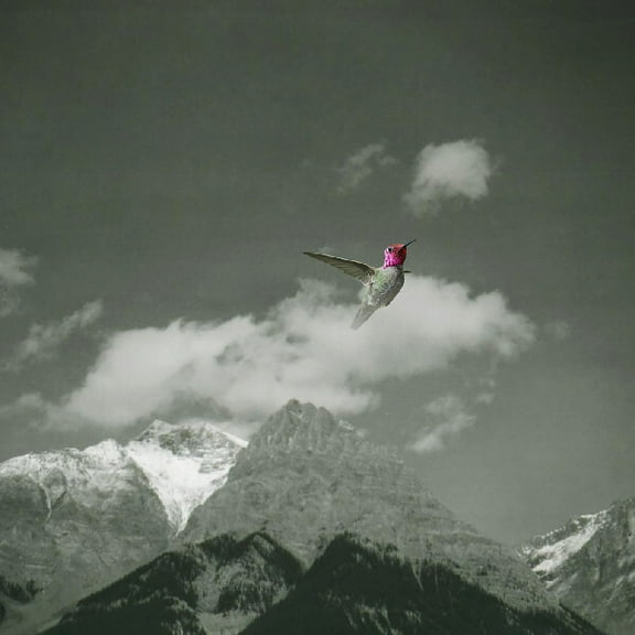 Bardo Pond - Melt Away - Music & Performance - Vinyl