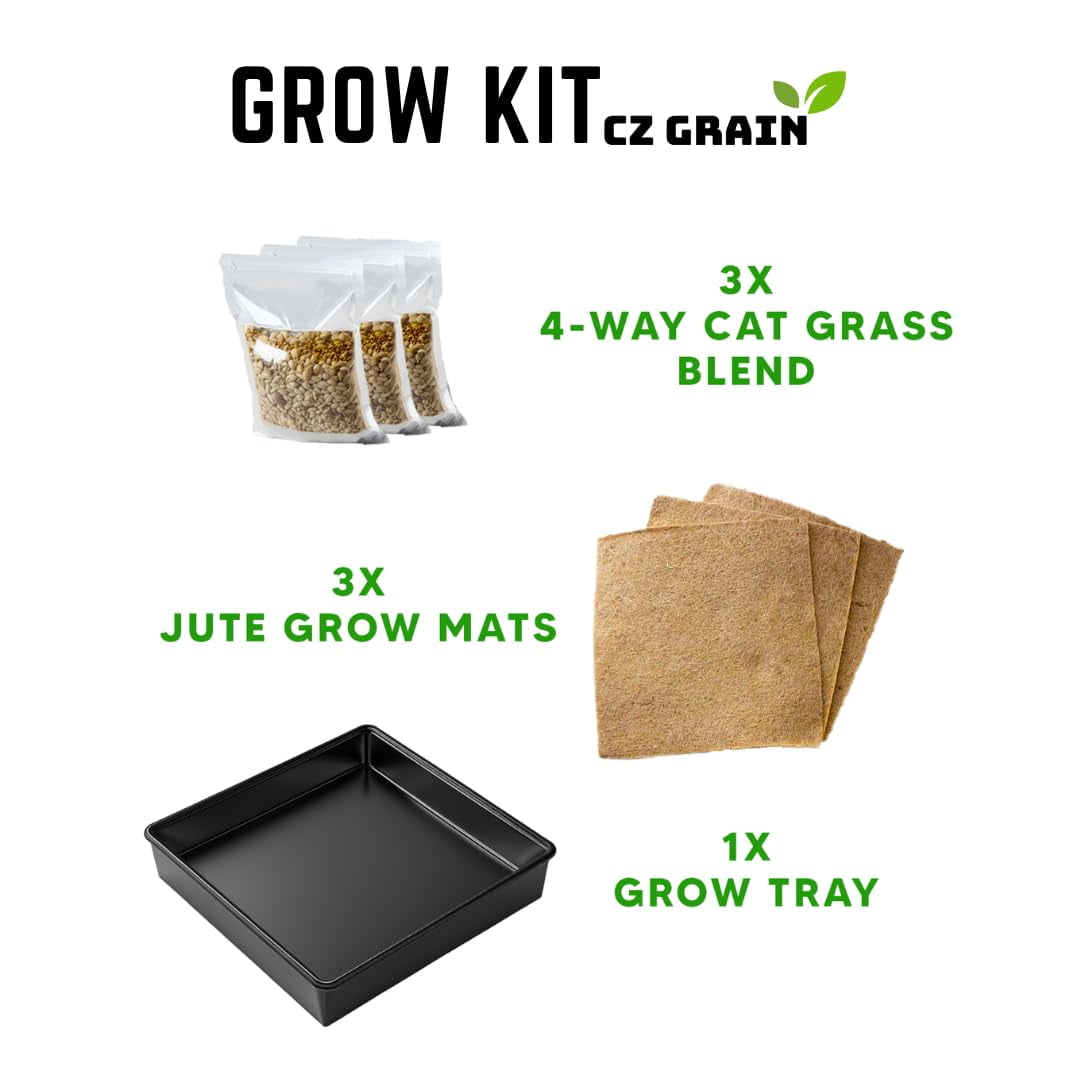 Cat Grass Growing Kit - Organic Seed, Jute Grow Mats, 10 x 10 Grow Container - Great for Indoor or Outdoor Cat, Dogs and Other Pets - Pet Grass (Complete Cat Grass Kit)