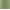 Olive Leaves, variant on Wonder Nation Boys Twill Cargo Shorts, Sizes 4-18