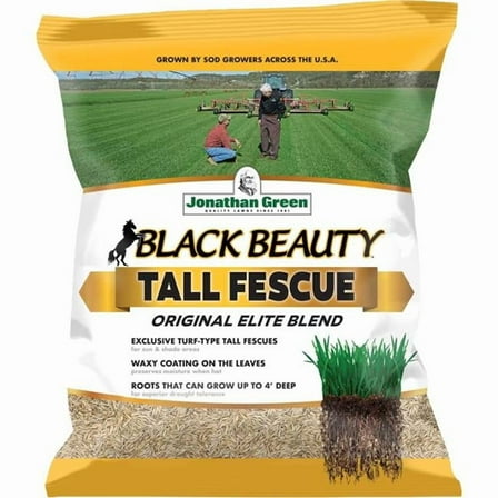 Jonathan Green 10319 Black Beauty Tall Fescue Grass Seed Mixture, 7 lbs