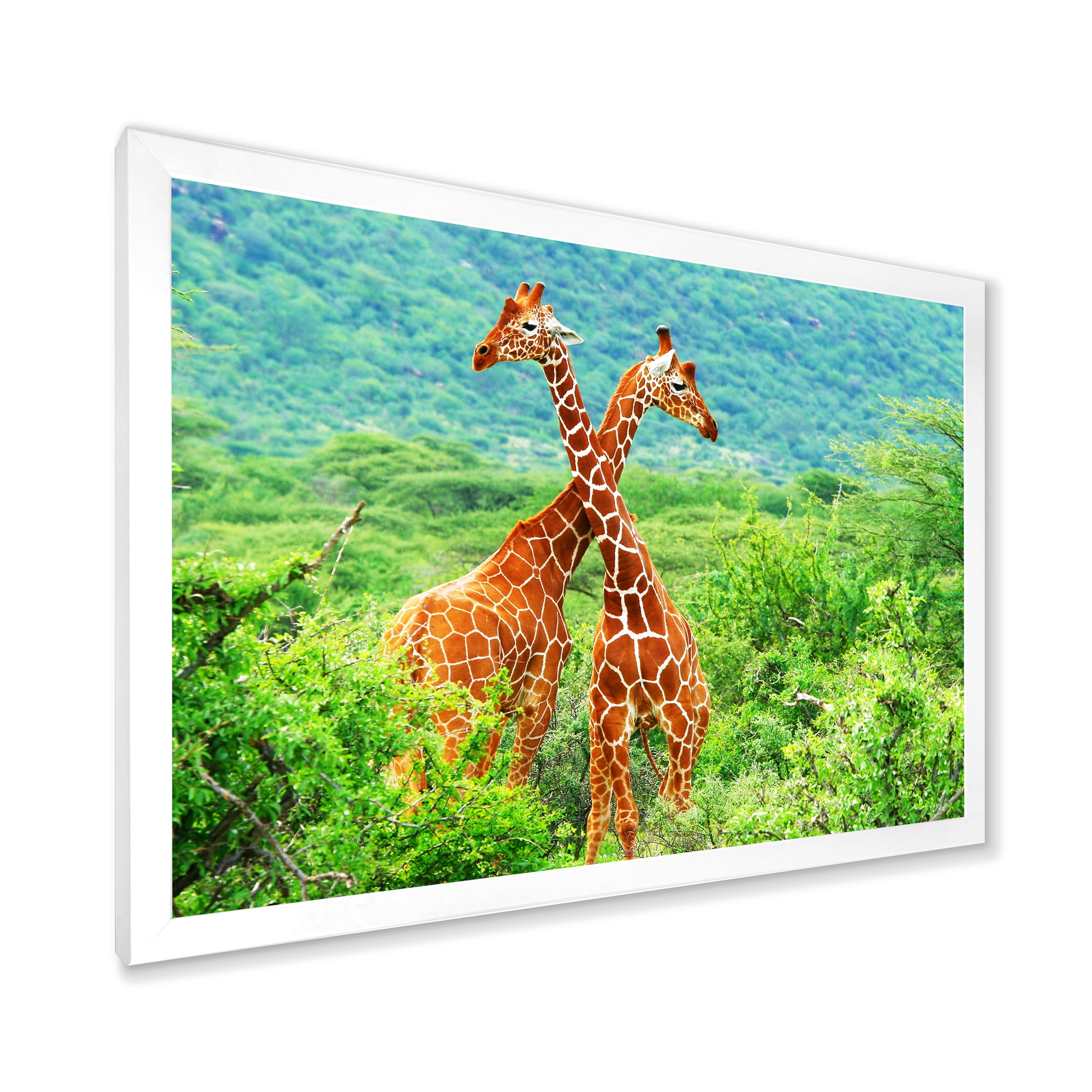 Designart 'Two Giraffes Fighting In Lush Green Wild' Farmhouse Framed Art Print