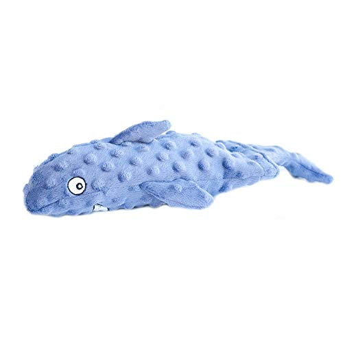 water bottle dog toy