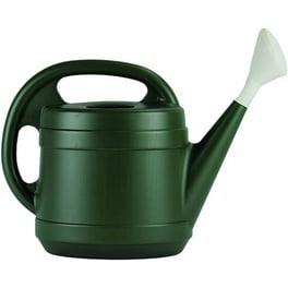 Bloem Bermuda Teal 1.06 L Resin Hummingbird Watering Can Bloem Bermuda Teal 1.06 L Resin Hummingbird Watering Can