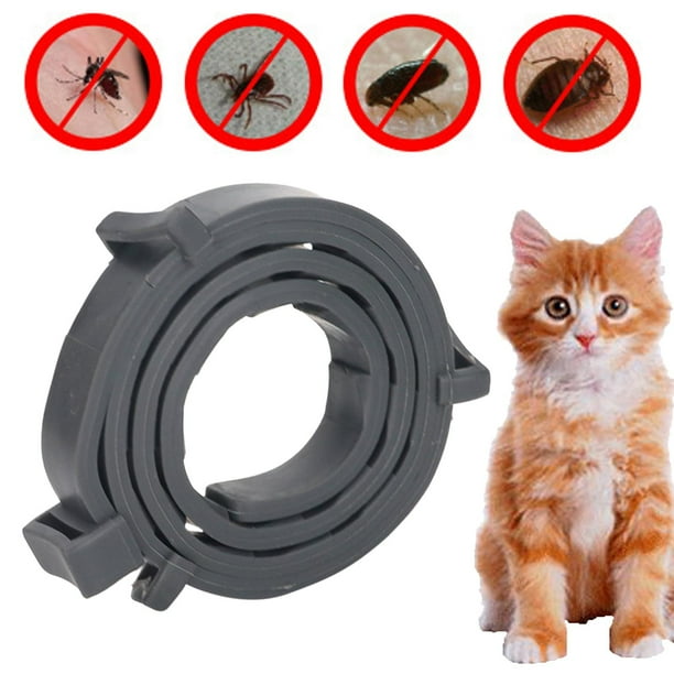 1b23d42e-f68e-4985-a0b6-61336c29cec3.9915294faf39de4040bf7367f8b33a55.jpeg (612×612)