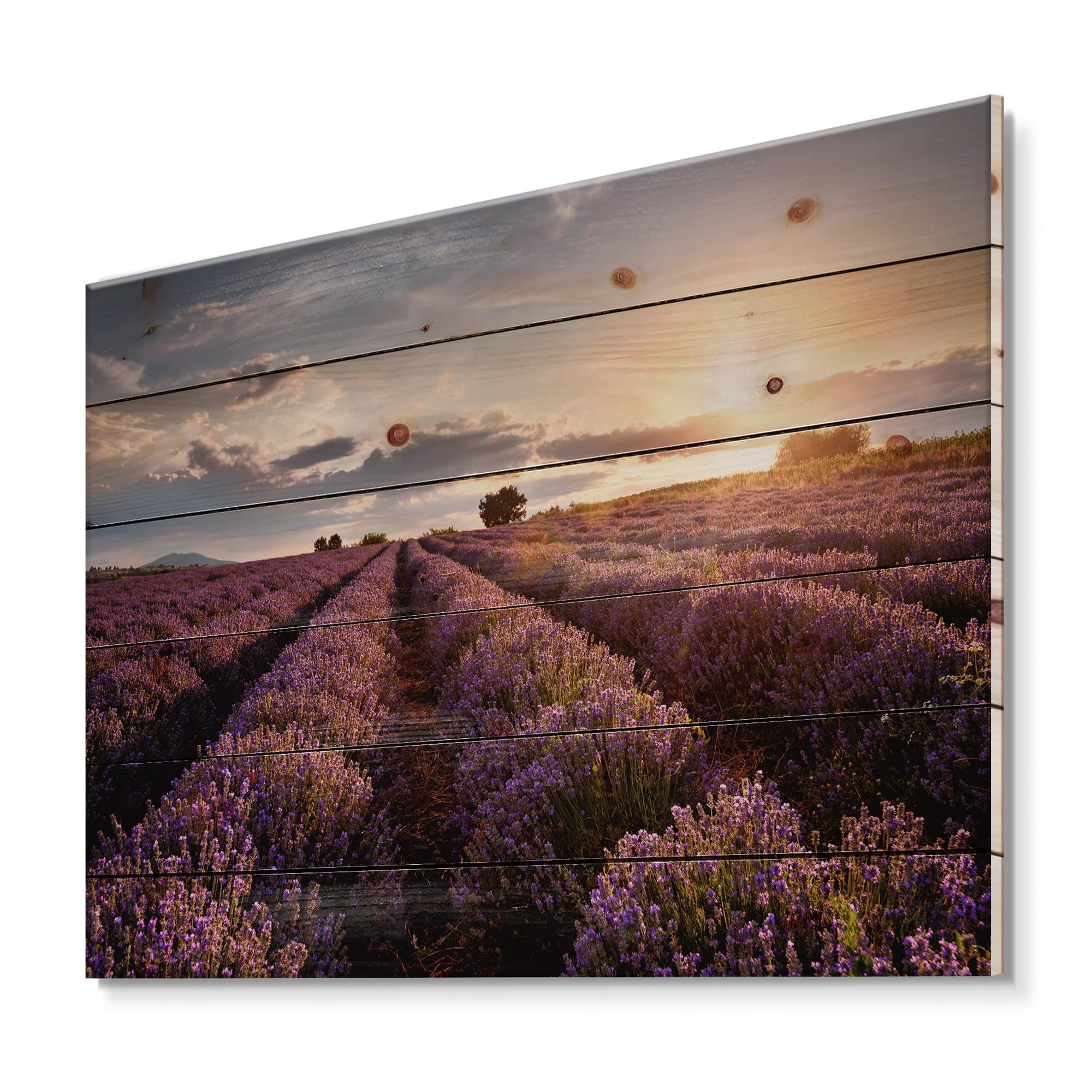 Designart 'Dramatic Clouds and Sunrise Over Lavender Field V' Farmhouse Print on Natural Pine Wood