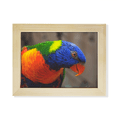 thumbnail image 1 of Pcture m Animal Parrot Desktop Photo Frame Picture Art Decoration Painting 6x8 inch, 1 of 3