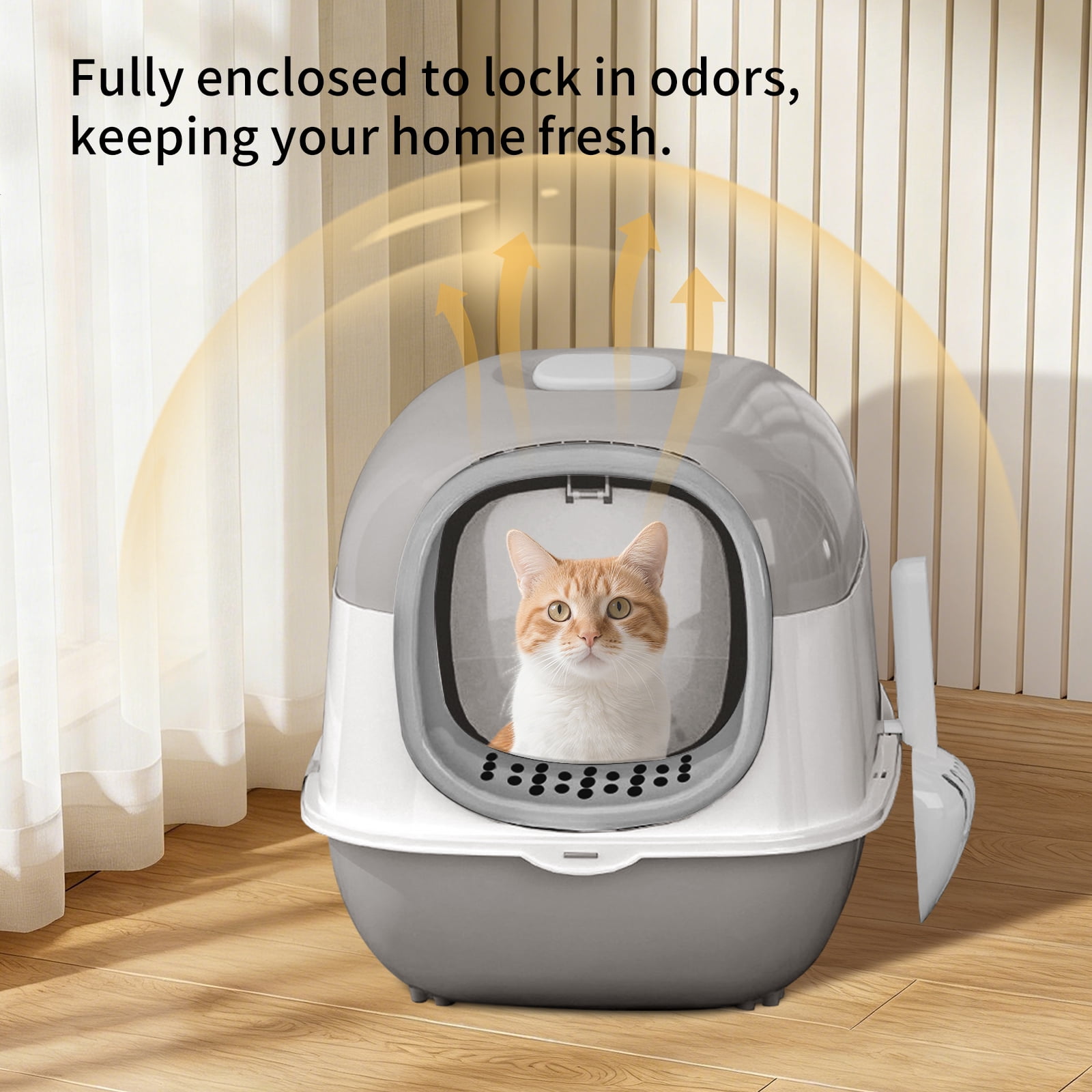 Open Design Transparent Cat Litter Box, Large Capacity Easy Entry Kitty Litter Pan with Cleaning Scoop, Sleek Modern Decorative Pet Toilet for Indoor Cats