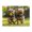 500 Pieces, variant on Yorkies Running Grass Field 500-Piece Wooden Jigsaw Puzzle for Adults, Fun & Challenging Family Game, Stylish Wall Decor & Holiday Gift