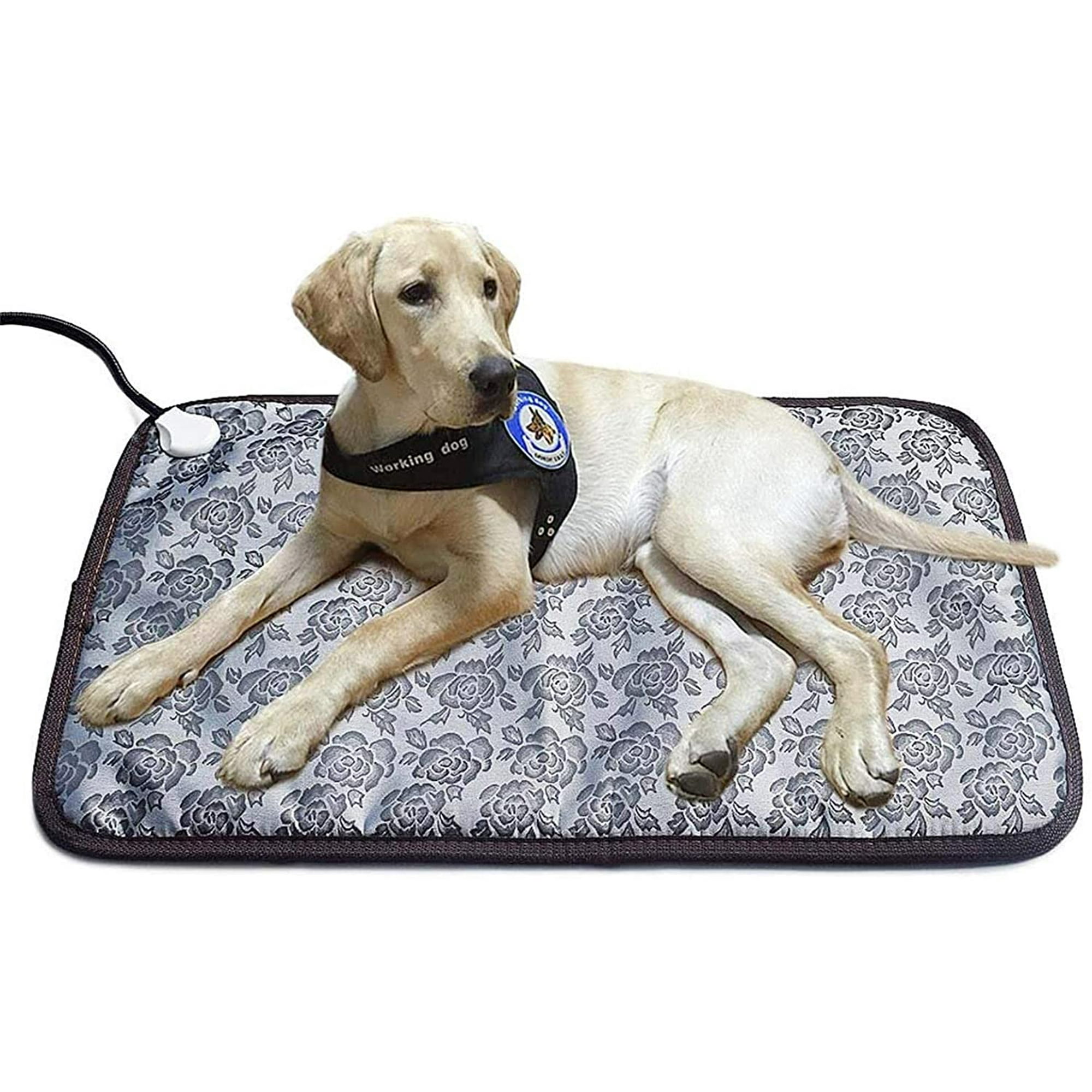 Do You Need A Heating Pad For Puppies