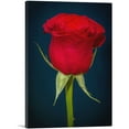thumbnail image 1 of ARTCANVAS Rose Flower Home Decor Rectangle Canvas Art Print - Size: 60" x 40" (0.75" Deep) (3-Piece), 1 of 9