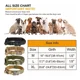 thumbnail image 4 of Collar Táctico Militar Para Perro Ajustable Ultra Resistente, 4 of 8