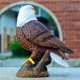 thumbnail image 3 of Estatua de águila calva detalles ricos en la cabeza figura de águila patriótica aspecto realista para cafetería y bar ANGGREK Otros, 3 of 8