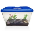 thumbnail image 2 of 2 Live Crabs Ship with Order+Large Hermit Crab Tank 12"x8"x6" Starter Kit with Accessories: Food, Shells, Climbing Toys and More, 2 of 5