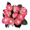 Fresh-Cut Dozen Glitter Rose Mother's Day Flower Bouquet, Minimum 9 Stems, Colors Vary