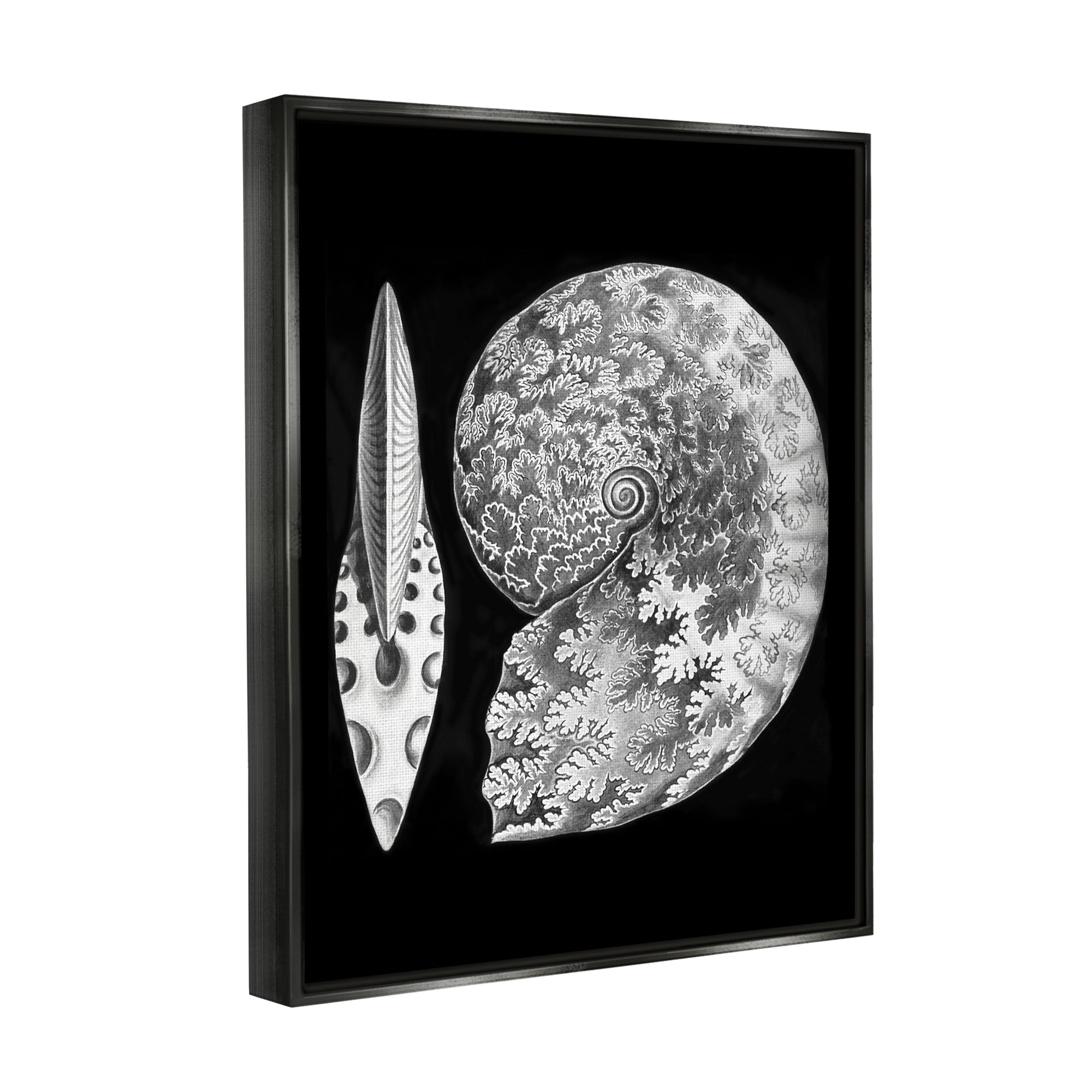 Stupell Industries Detailed Patterned Nautilus Spiral Seashell Modern Design Graphic Art Metallic Gold Floating Framed Canvas Print Wall Art, Design by Graffitee Studios