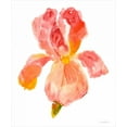 thumbnail image 2 of OToole, Tim 15x17 White Modern Wood Framed Museum Art Print Titled - Sunset Blooms II, 2 of 4