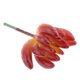 thumbnail image 1 of Plantas Suculentas Artificiales de Flores de Plástico para Decoración Interior, 1 of 6