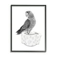 thumbnail image 2 of Stupell Industries Parrot & Toilet Paper Bathroom Animals & Insects Painting Gray Framed Art Print Wall Art, 2 of 5