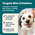 thumbnail image 4 of Vetnique DermaBliss Medicated Antiseptic Dog Shampoo with Chlorhexidine, 16oz, 4 of 10