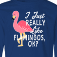 thumbnail image 4 of Inktastic I Just Really Like Flamingos Ok with Pink Flamingo Long Sleeve Youth T-Shirt, 4 of 5