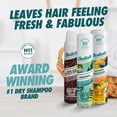 thumbnail image 4 of Batiste Shampooing sec vaporisateur de parfum Blush 200 ml, 4 of 6