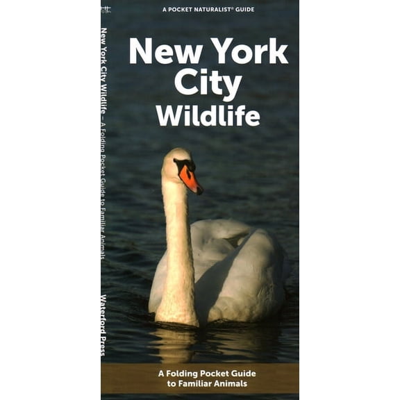 New York City Wildlife : A Folding Pocket Guide to Familiar Animals (Other)