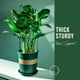 thumbnail image 4 of 8 piezas Apoyo de soporte vegetal Green Garden Garden Stakes para de rosa de flores 25cmx40cm, 4 of 4